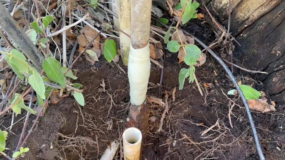 Exposed water line connection being repaired near an outdoor or utility access point for Plumbing Services in Laveen,